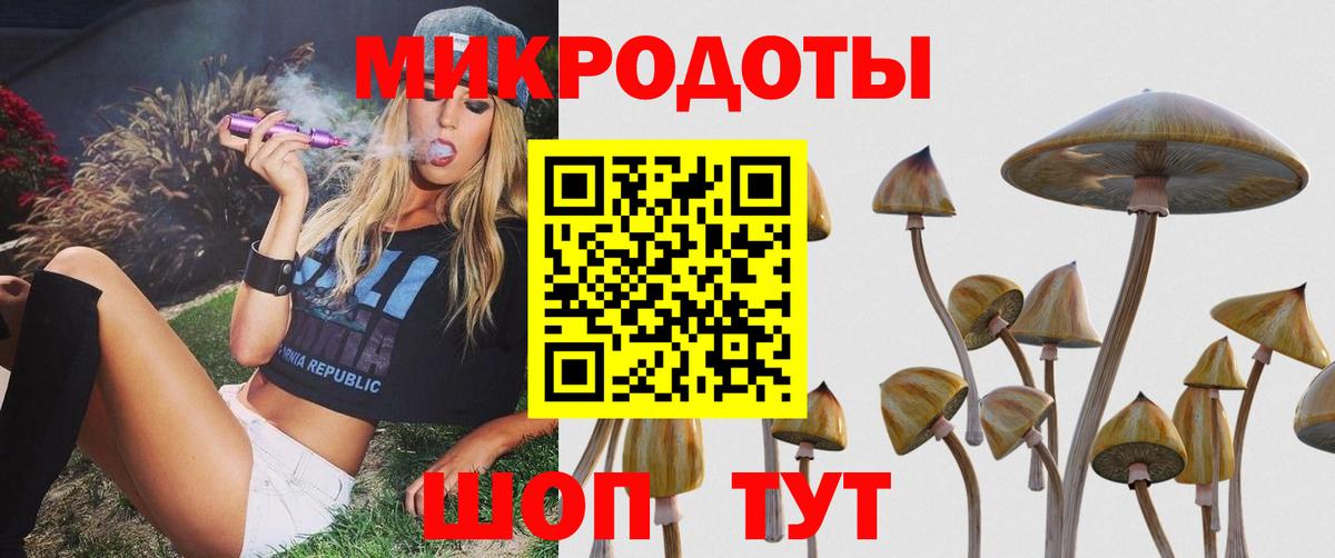 Галлюциногенные грибы Cubensis Ефремов
