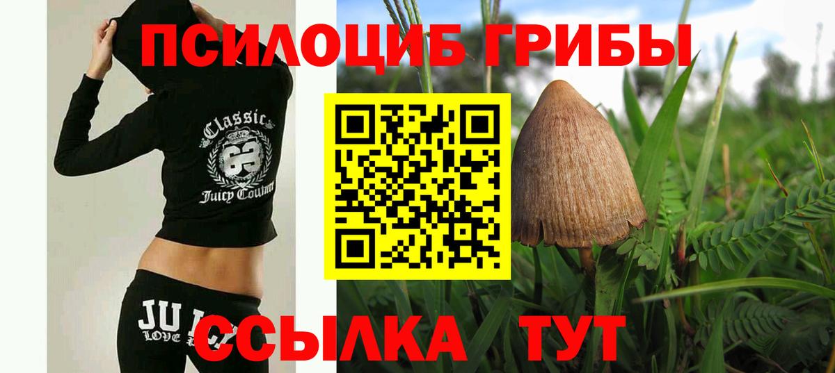 Галлюциногенные грибы GOLDEN TEACHER  Вход с VPN  Псилоцибиновые грибы MAGIC MUSHROOMS  наркошоп  Ефремов 